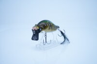 ADUSTA ZACRAWL SC Jr. 65mm/14g -#012 Golden Peacock Bass