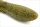 DEPS COVER SCAT 3" / 7.6cm