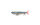 DRT TINY KLASH | LowFloat | Specter