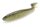 Keitech FAT Swing Impact 2.8" / 7cm