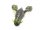 Z-MAN TRD CrawZ 2.5" / 6cm