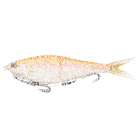 BERKLEY PowerBait Chop Block 15cm | 28g-Albino Trout