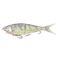 BERKLEY PowerBait Chop Block 15cm | 28g-Fire Perch