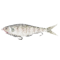 BERKLEY PowerBait Chop Block 20cm | 62g-Perch