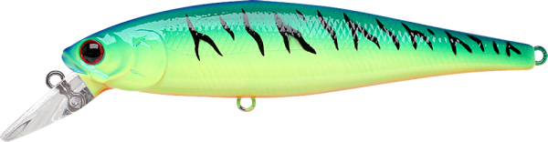Lucky Craft Pointer 100 - Blue Chart Tiger