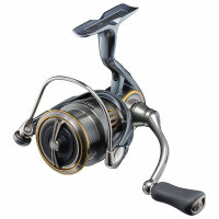 Daiwa 23 AIRITY Spinnrolle - LT2000S-P