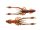 Reins Ring Shrimp 3" / 7.2 cm