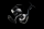 Daiwa 24 Certate(G)