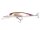 Nories Laydowm Minnow Deep Just Wakasagi Reflect Wakasagi