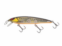Nories Laydown Minnow Regular (074) BB Gold Rush