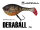 Illex/Jackall Deraball