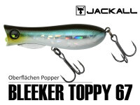 Illex/Jackall Bleeker Toppy 67