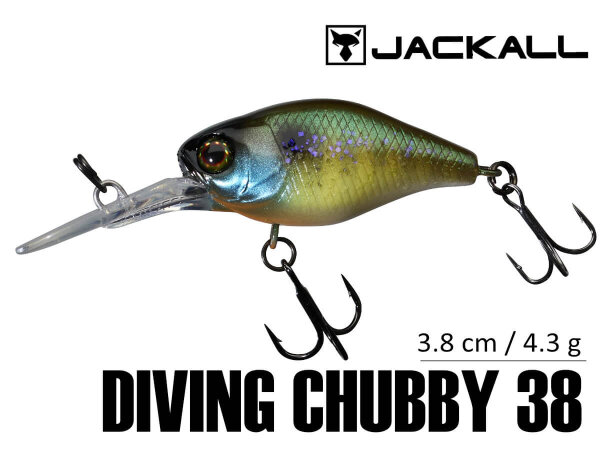 llex/Jackall Diving Chubby 38