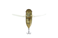 Illex/Jackall SUISEN Hibara Spring Cicada