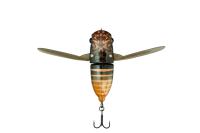 Illex/Jackall SUISEN Nojiri Spring Cicada