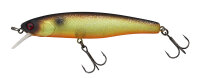 Illex/Jackall Arnaud 100 F Muddy Roach