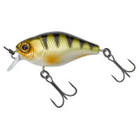 llex/Jackall Chubby 38 Perch