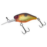 llex/Jackall Diving Chubby 38 Muddy Roach