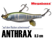 Megabass KARASHI IGX 60F / 6cm