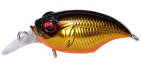 Megabass GRIFFON BAIT FINESSE SR-X / 3.8cm GG MEGABASS KINKURO