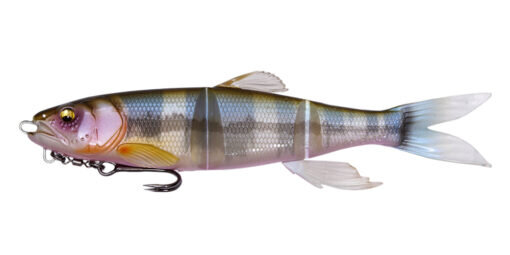 Megabass MAGDRAFT HASU RAVER / 7" / 17.8cm BIWAHIGAI