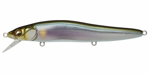 Megabass ONETEN R / 11cm WAGIN SETSUKI AYU