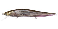 Megabass VISION ONETEN / 11cm FA GHOST WAKASAGI