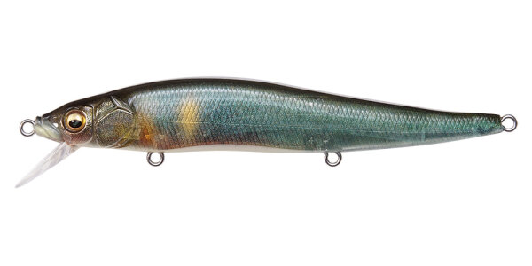 Megabass VISION ONETEN / 11cm FA KISYU AYU