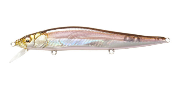 Megabass VISION ONETEN / 11cm HT HAKONE WAKASAGI