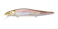 Megabass VISION ONETEN / 11cm HT HAKONE WAKASAGI