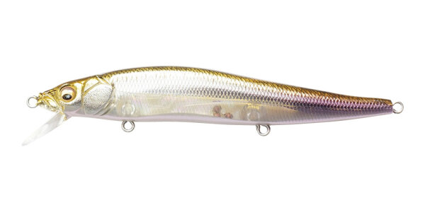 Megabass VISION ONETEN / 11cm HT ITO WAKASAGI
