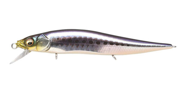 Megabass VISION ONETEN JR. SW / 9.8cm SW GG IWASHI