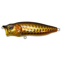 Megabass POPMAX / 7.5cm (SP-C) DRAGON FISH G