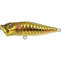 Megabass POPX / 6.4cm (SP-C) DRAGON FISH G