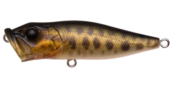 Megabass POPX / 6.4cm FA BABY RAIGYO