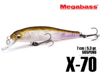Megabass X-70 / 7cm