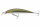 Daiwa Tournament TN Current Master SR 93F
