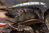 Daiwa Tournament TN Minnow 95SP