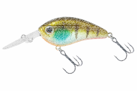 Daiwa STEEZ C200 F-MR Crankbait Monster Gill