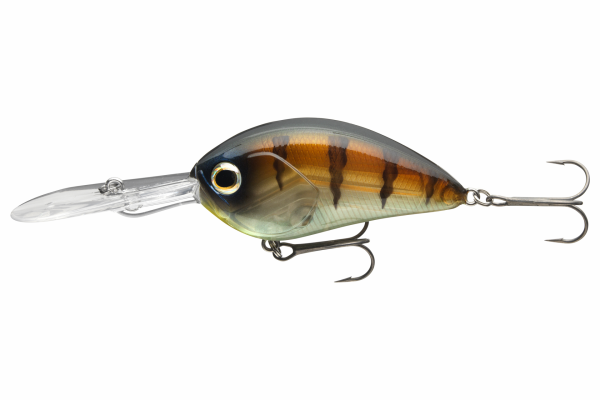 Daiwa STEEZ C300 F-DR Crankbait Ghost Baby Gill
