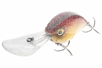 Daiwa STEEZ C500 F-DR Crankbait Ayu