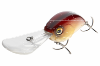 Daiwa STEEZ C500 F-DR Crankbait Monster Chart
