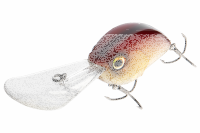 Daiwa STEEZ C500 F-DR Crankbait Spawning Ghost