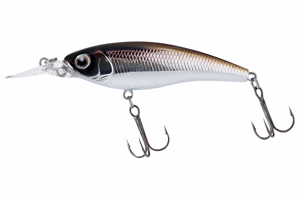 Daiwa Steez Shad | 60SP-SR Wakasagi