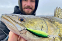 Daiwa Steez Shad | 60SP-MR