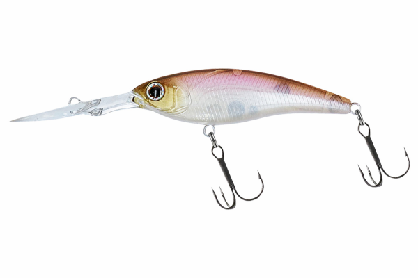 Daiwa Steez Shad | 60SP-DR Ghost Wkasagi