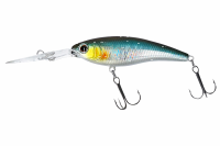 Daiwa Steez Shad | 60SP-DR Special Shiner