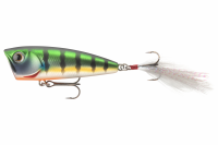 Daiwa Steez Steez Popper | 60F
