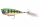 Daiwa Steez Steez Popper | 60F
