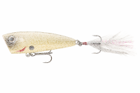 Daiwa Steez Steez Popper | 60F Bone